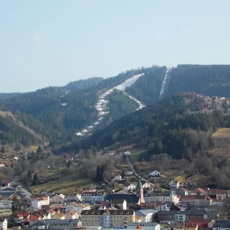 Σπίτι διακοπών Very And Bright 210 M With Sauna And Gérardmer